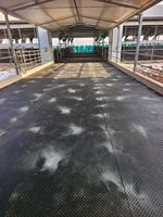 Tapis en caoutchouc alvéolés pour élevages de porcs, vaches et chevaux – Confort supérieur, fonction antidérapante, épaisseur 20 mm, découpe sur mesure