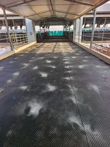 Tapis en caoutchouc alvéolés pour élevages de porcs, vaches et <span class=keywords><strong>chevaux</strong></span> – Confort supérieur, fonction antidérapante, épaisseur 20 mm, découpe sur mesure - Product Image 4