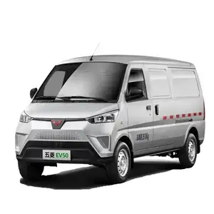 Wuling EV 50 Pure Electric Mini Van Cargo Trucks New Energy Vehicles New Cars From China