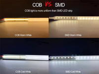 Bande lumineuse LED Raymates pour extérieur, étanche, 480 LED/m, DC24V, 10 mm, CRI 90+, CE ROHS, puces LED COB, sans points lumineux, découpable, dimmable