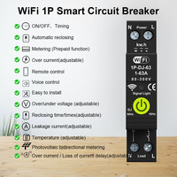 RMshebei Tuya Mini disjoncteurs Wifi Smart Home Switch 1P + N 63A Smart Energy Meter Protector Voltage Din Rail Télécommande