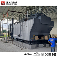 Dzh1 1t bois de chauffage bois chaudière à vapeur