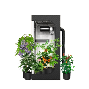 Vente en gros directement en vente 600D Silver Mylar Grow Box Room 2x2 <span class=keywords><strong>Kit</strong></span> <span class=keywords><strong>de</strong></span> tente <span class=keywords><strong>de</strong></span> <span class=keywords><strong>culture</strong></span> hydroponique étanche à la lumière pour <span class=keywords><strong>culture</strong></span> en intérieur - Product Image 6