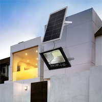 Projecteur solaire Utilisation en extérieur suffisamment d'énergie La lumière naturelle stocke l'énergie Lumière solaire LED puissante