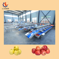 Apple Wasmachine Apple Grading Lijn Automatische Groente-en Reinigingsmachine En Sorteren Machine
