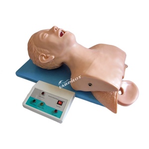Modelo de Cabeza para Entrenamiento de Intubación Traqueal en Adultos, Anatomía de las Vías Respiratorias, Pulmones y Estómago - Product Image 1