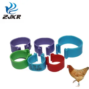 kd552 KED Customized Foot Rings Poultry Buckle Poultry Ring for Birds Plastic Duck Goose Leg Digital Rings For Animal