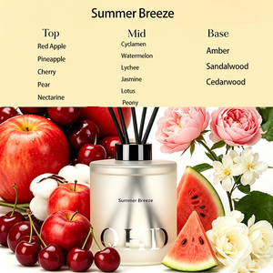 Diffuseur à bâtonnets parfum Brise d'été longue durée pour chambre et salon – Meilleure vente – Prise en charge OEM - Product Image 2