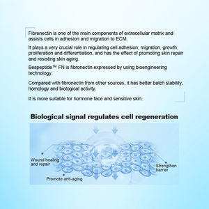 مستحضرات التجميل من الفيبرونكتين المؤتلف بدرجة GMP لتسريع إصلاح الأنسجة والتئام الجروح والتطور العضوي التجدد - Product Image 5