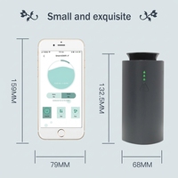Machine intelligente de diffuseur de parfum de batterie sans eau Diiffuser d'arôme de voiture Nébuliseur d'air Usb