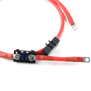 Kit de câble <span class=keywords><strong>d</strong></span>'<span class=keywords><strong>alimentation</strong></span> personnalisé avec porte-fusible, <span class=keywords><strong>section</strong></span> de câble de 25 mm2, câble PV noir - Product Image 3