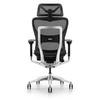 Chaise de bureau exécutive pivotante en maille confortable avec accoudoirs, chaise de bureau ergonomique pivotante avec soutien lombaire