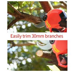 Lux best branch battery bypass apple planting rami powered tree cordless battery potatura shear - Product Image 3