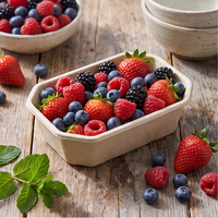 Composteerbare gedroogde aardbeien schaal van bagasse pulp, fruit- en groenteverpakkingen met afwateringgat