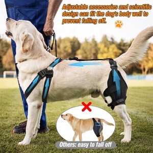 6PC Mùa Xuân Hỗ Trợ Rách Acl CCL Đầu Gối Cap Trật Khớp Chân Vết Thương Chăm Sóc Ngăn Chặn Liếm Hip Hỗ Trợ Có Thể Điều Chỉnh Dog Đầu Gối <span class=keywords><strong>Brace</strong></span> - Product Image 5