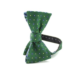 Bướm 100% Lụa Tùy Chỉnh Dệt Bowties Cá Nhân Paisley Có Thể Điều Chỉnh Hai Mặt Có Thể Đảo Ngược Màu Xanh Lá Cây Tự Tie <span class=keywords><strong>Bow</strong></span> Quan Hệ Cho Nam Giới - Product Image 2