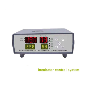 Incubadora de Huevos de Gallina de 300 Huevos para Granja, con Batería de 12V, Incubadora Solar, Precio Económico - Product Image 6