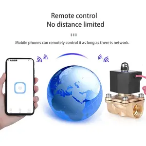 WiFi intelligent contrôler à distance la vanne sur le téléphone portable WIFI électrovanne en laiton vanne d'eau