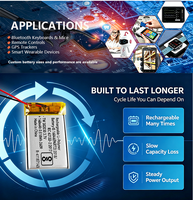 Batterie LiPo personnalisée certifiée BIS 502535 431575 392263 400mAh 450mAh 500mAh 3.7V pour produits électroniques