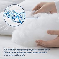 Échantillon gratuit de couette ultra douce toutes saisons avec insert de couette couettes matelassées couette de literie alternative en duvet avec onglets d'angle
