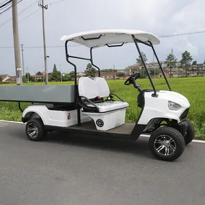 New Cheap 2 Seater Mini Electric Golf Cart Equipped With Rear Cargo Box