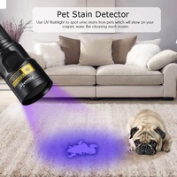20W UV LED lampe de poche rechargeable UV vernis à ongles durcissement chat chien urine taches Tinea minerai argent Scorpion fuite marqueur détection