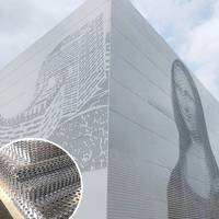 Paneles de Pared Cortina de Aluminio Perforado - Revestimiento de Fachada con Imagen Artística en Tonos Medios para Arquitectura Moderna