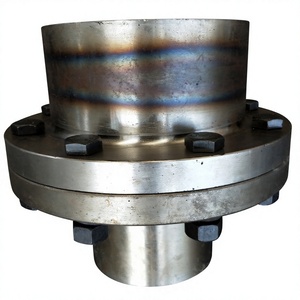 Acoplamiento para Grúas Industriales para Sistemas de Accionamiento de Grúas Puente y Grúas de Pórtico - Product Image 1