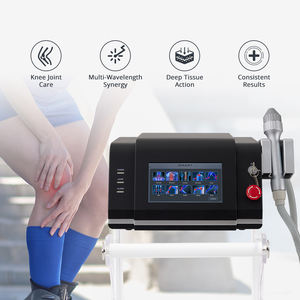 Dispositivo de Terapia Láser Médico de 810nm y 980nm, Equipo de Fisioterapia Láser para Curación Corporal, para Hospitales y Clínicas - Product Image 1