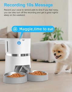 Dispensador de Agua y Contenedor de Alimentos 2 en 1 Ecológico, Automático, con Capacidad para 5 Comidas y 5.5L, Recargable e Inteligente - Product Image 4