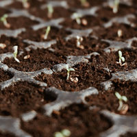 Blok Sabut Kelapa Organik untuk Berkebun, Coco Peat, Media Tanam, Mulsa, Ramah Lingkungan, Biodegradable, Campuran Tanah untuk Pot