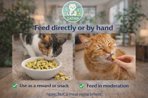 Golosinas Suaves para Gatos con Pollo y Atún Sabor Menta |   Ingredientes Naturales, Bocadillos para Gatos Altos en Proteínas Sin Granos, Cuidado Bucal, Alimento para Mascotas de Exportación OEM - Product Image 6