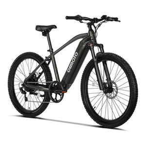Vélo électrique tout-terrain avec Logo personnalisé, 36v, 48v, 350 W, <span class=keywords><strong>500</strong></span> Watt, 28 pouces - Product Image 1