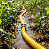 Manguera de Riego de PVC Ligera con Estabilización UV para Agricultura Sostenible, Invernaderos y Uso en Plantaciones a Gran Escala