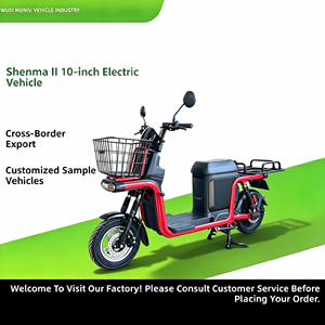 Exportaciones de Vehículos Eléctricos: Bicicletas Eléctricas para Subir Colinas, Entrega de Carga, E-Bikes de Largo Alcance, Motocicletas de 800W 6072V de Gran Autonomía - Product Image 2