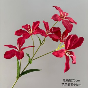 Guirnalda de flores de seda con diseño de orquídeas para decoración del hogar, accesorios de fotografía, estilo moderno - Product Image 3