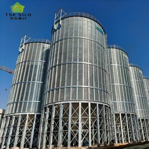 Silos en acier de haute qualité de 100 à 1500 tonnes pour le <span class=keywords><strong>stockage</strong></span> des céréales / silos à blé / silos à maïs, <span class=keywords><strong>prix</strong></span> fabricant de silos à riz - Product Image 2
