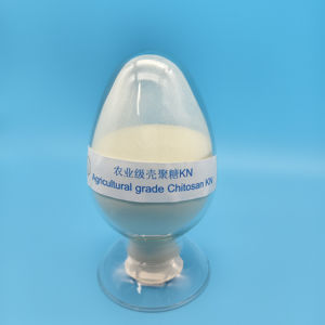 Pupuk Zhongsheng Chitosan KN 85% Murni Langsung dari Pabrik di Shandong untuk Pertanian - Product Image 4