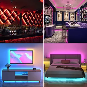 Holiday Light Kits LED RGB Strip Light APP Music Sync Voice Remote Controlled Flexible Waterproof Copper 80 IP65 Light Strings