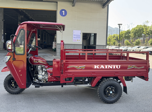 بيع مباشر من المصنع 2025 الأكثر مبيعًا دراجة نارية ثلاثية العجلات للشحن تعمل بالبنزين كاينيو تشوبر مع كابينة 250 سي سي دراجة ثلاثية العجلات ثقيلة الحمولة - Product Image 5