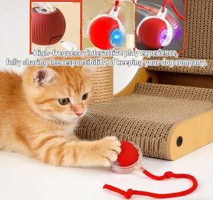 Balle interactive électrique intelligente pour chat, avec appels d'oiseaux, jouet roulant pour animaux de compagnie, jouets de mouvement interactifs pour animaux, en promotion - Product Image 3