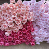CM-TH1218 Bunga Pernikahan Pink Terang 3 Kuntum Mawar Austin Sutra Bunga Artificial Grosir