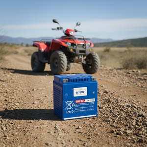 Batterie LIYON pour <span class=keywords><strong>buggy</strong></span> utilitaire adulte 1000cc 4x4 UTV, batterie au plomb-acide, tout-terrain, 4 places, moteur à essence UTV/ATV - Product Image 2
