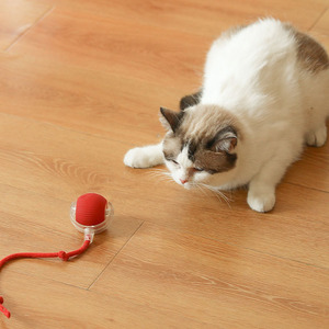 Jouet pour chat : Balle automatique interactive résistante aux morsures avec corde pour l'amusement des animaux de compagnie - Product Image 4
