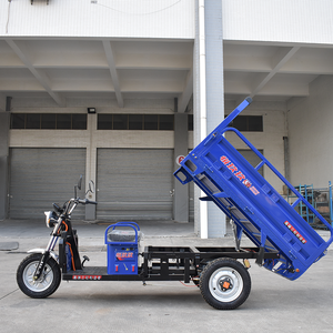 Tricycle électrique de ferme en acier inoxydable de haute stabilité de 1.6m personnalisable tricycle de cargaison adulte de 11m batterie électrique 60v - Product Image 6