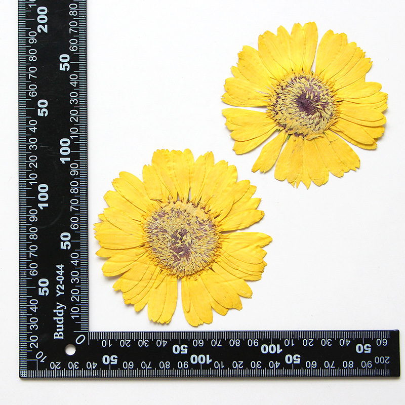 Giallo limone naturale, 2 pezzi/sacchetto