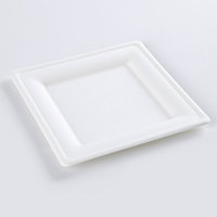 Boîte à lunch en papier de bagasse de canne à sucre jetable biodégradable de 8 pouces avec insert en bambou maintenant disponible sur le marché des EAU