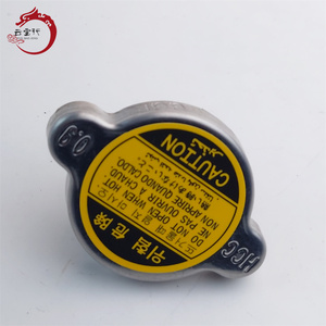 Système de refroidissement de haute qualité CAP ASSY-RADIATOR 25330-17000 2533017000 pour Hyundai ELANTRA 25330 17000 - Product Image 6