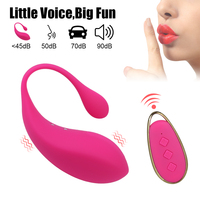 Wearable Wireless Remote Vibrator-Diskreter Klitoris stimulator 12-Gang-Vibration wasserdichtes Sexspielzeug für Frauen im Freien
