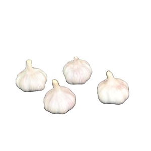 用传统方法种植的新鲜白蒜有机40英尺容器 - Product Image 5